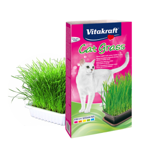 vitacraft cat grass