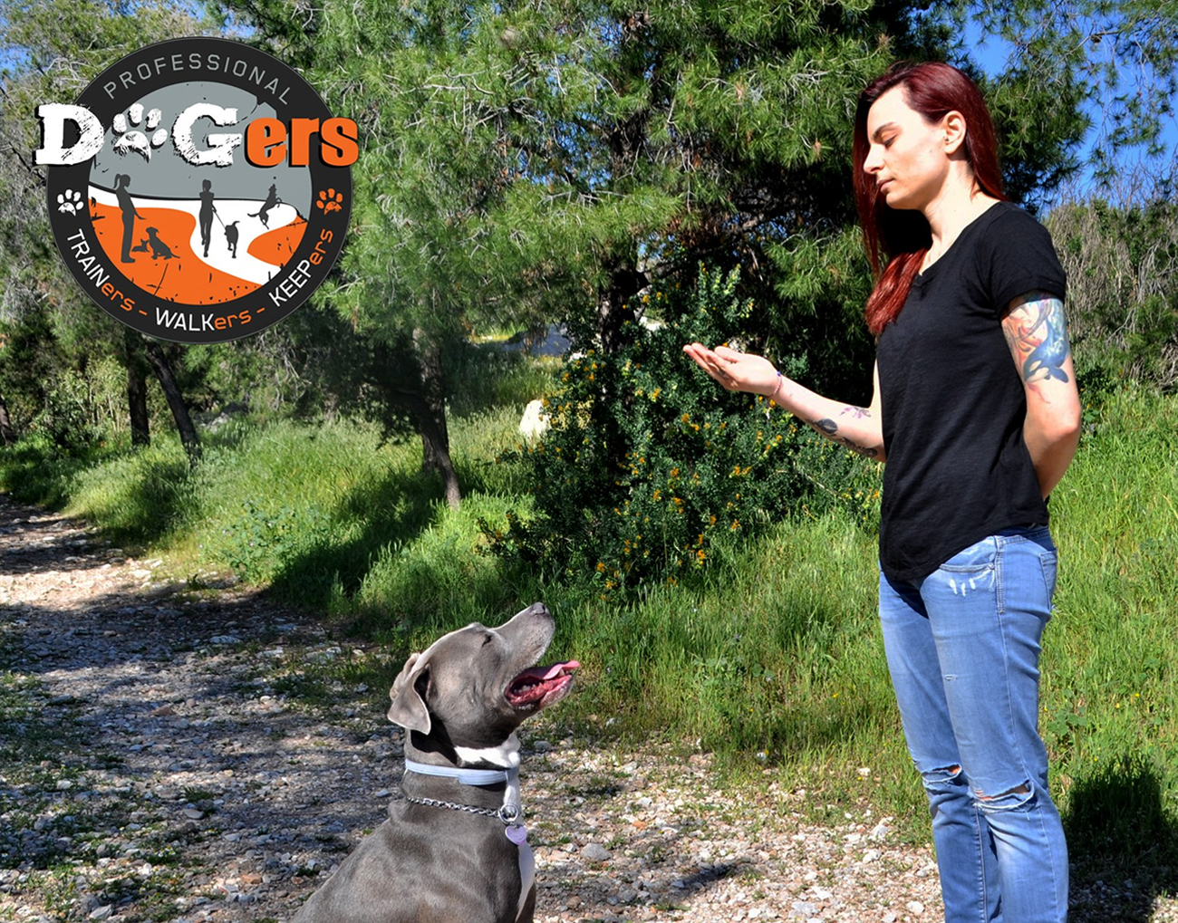 Vetcheckstore.gr online eshop for pets μαγαζί με είδη για κατοικίδια blog