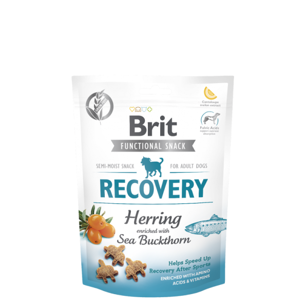 vetcheckstore.gr brit functional snack recovery 020-0806