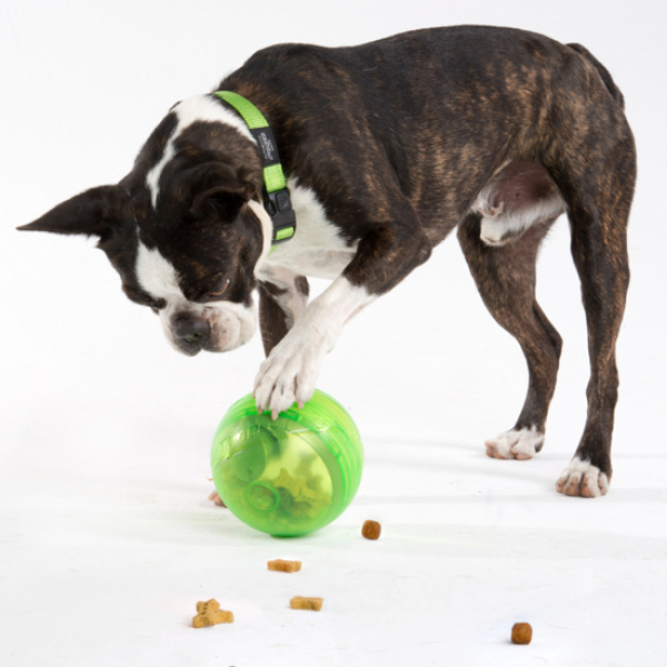 vetcheckstore_dog_toys_rogz_tumbler