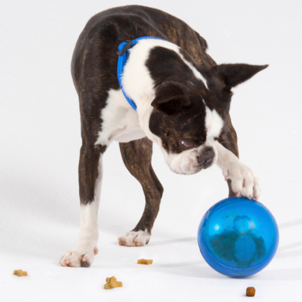 vetcheckstore_dog_toys_rogz_tumbler_1