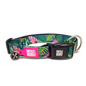 vetcheckstore_max_molly_TROPICAL