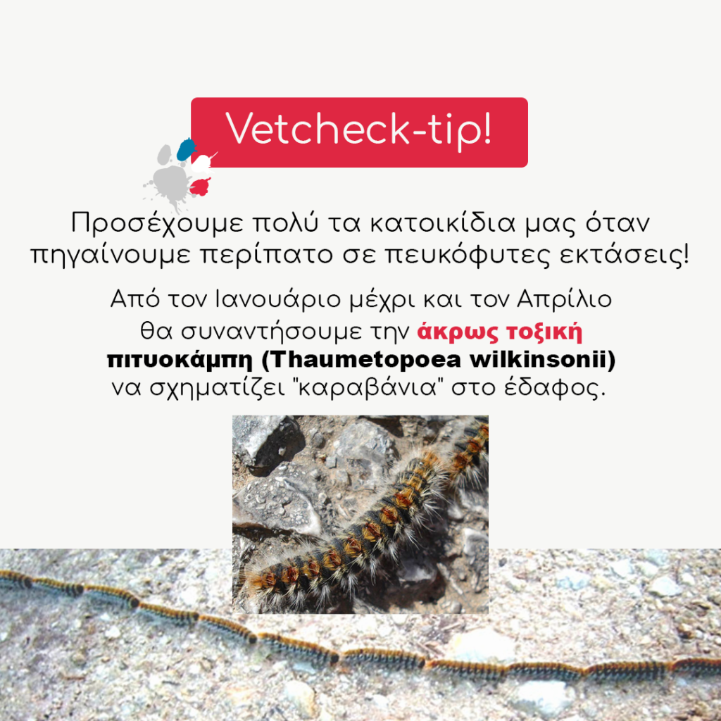 vetcheckstore_tip_11_1