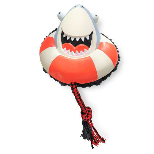 vetcheckstore_max_molly_frenzy the shark