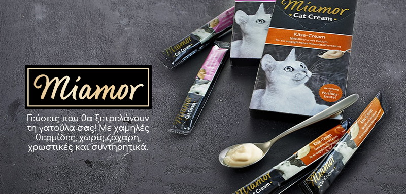 miamor-Vetcheckstore-side-BANNER