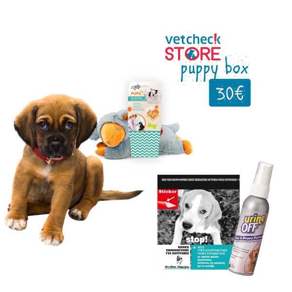 puppy relax box