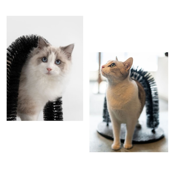 vetcheckstore_pawise_cat_scratcher_groomer_