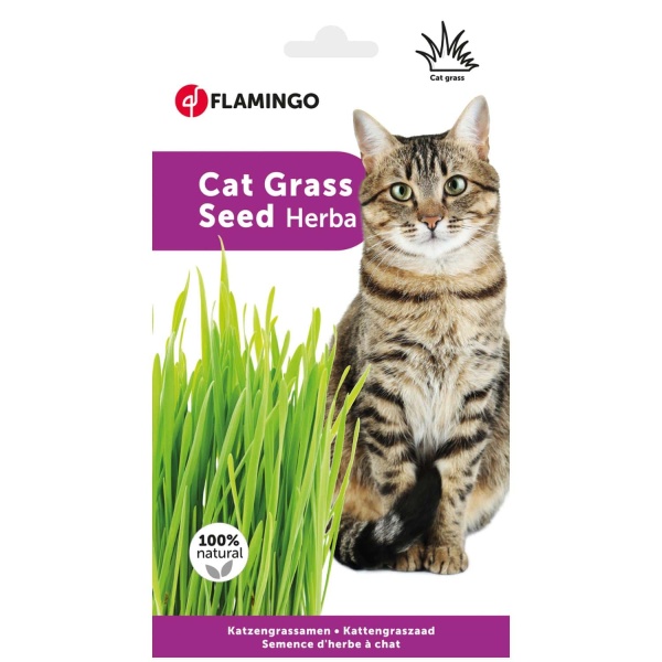 vetcheckstore_cat_grass_flamingo